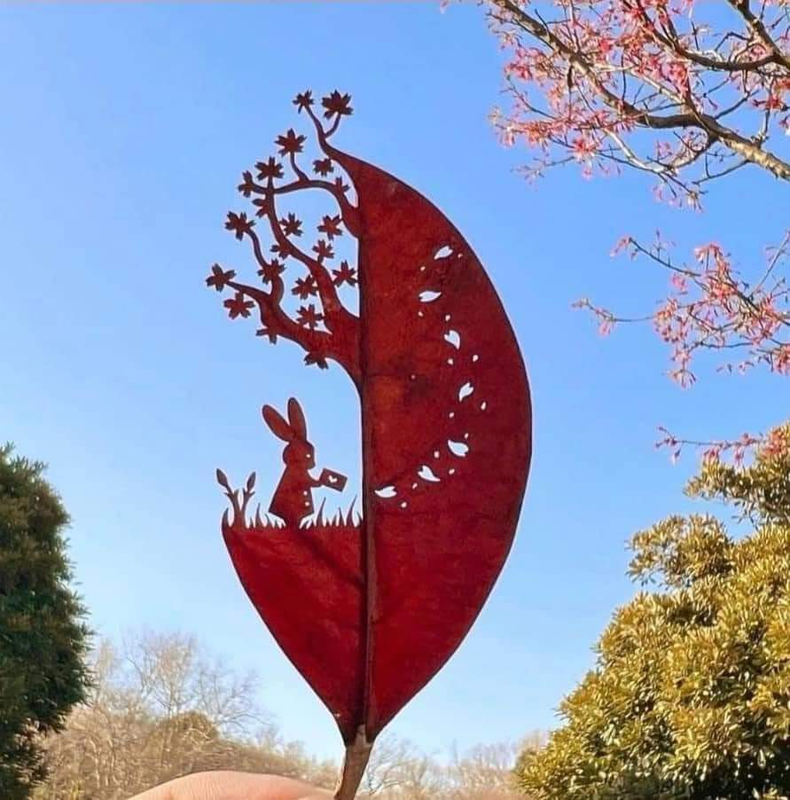 coetzee_ni44181's tweet photo. Beautiful artistry done with leaves 😍🇿🇦
Hope everyone is having a good Wednesday ❤️

#kwadukuza #kwadukuzamall #dailytalk #News24 #WorldZa #Artistry #southafrica #trending #viral #trendingphotos #Motivation #Nature https://t.co/v8ddy4dmNz