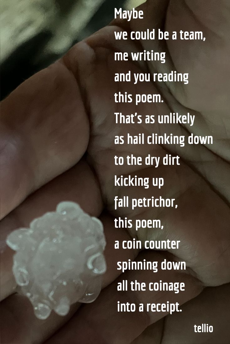 Terry Elliott tweet media