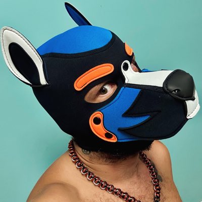thepupvolt's tweet photo. #NewProfilePic https://t.co/8Y2S70HWmp