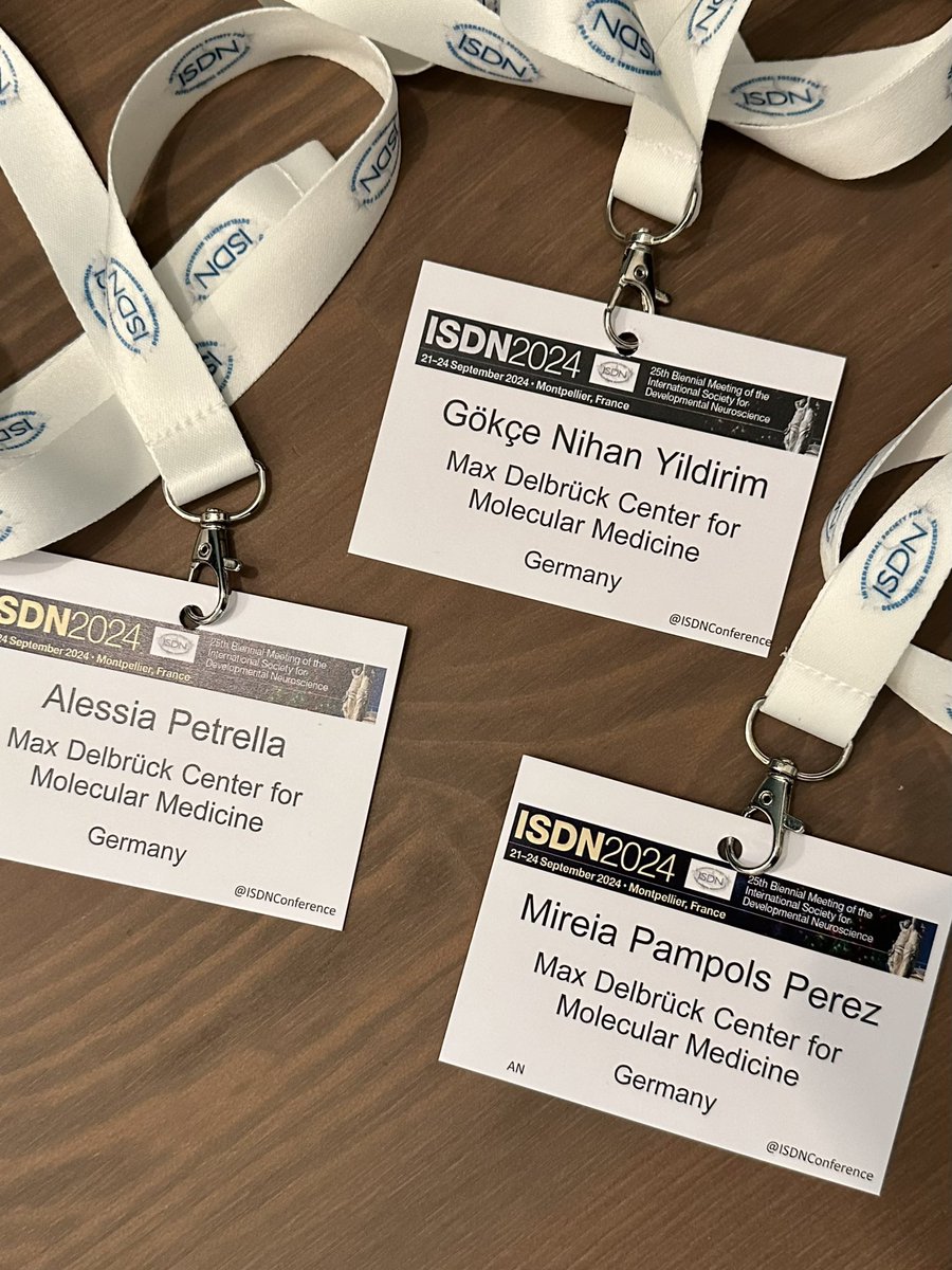 Alessia Petrella tweet media