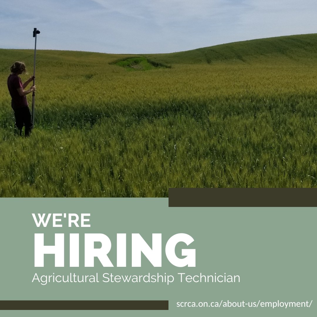 stclairregionca's tweet photo. We are hiring! 

🌱 Environmental Planner (deadline is October 4th)
🌾 Agricultural Stewardship Technician (deadline is October 11th)

https://t.co/L7sb5aetoA

#JobPosting #OntarioJobs #LdnOnt #LambtonCounty https://t.co/0NGKIQ66fS