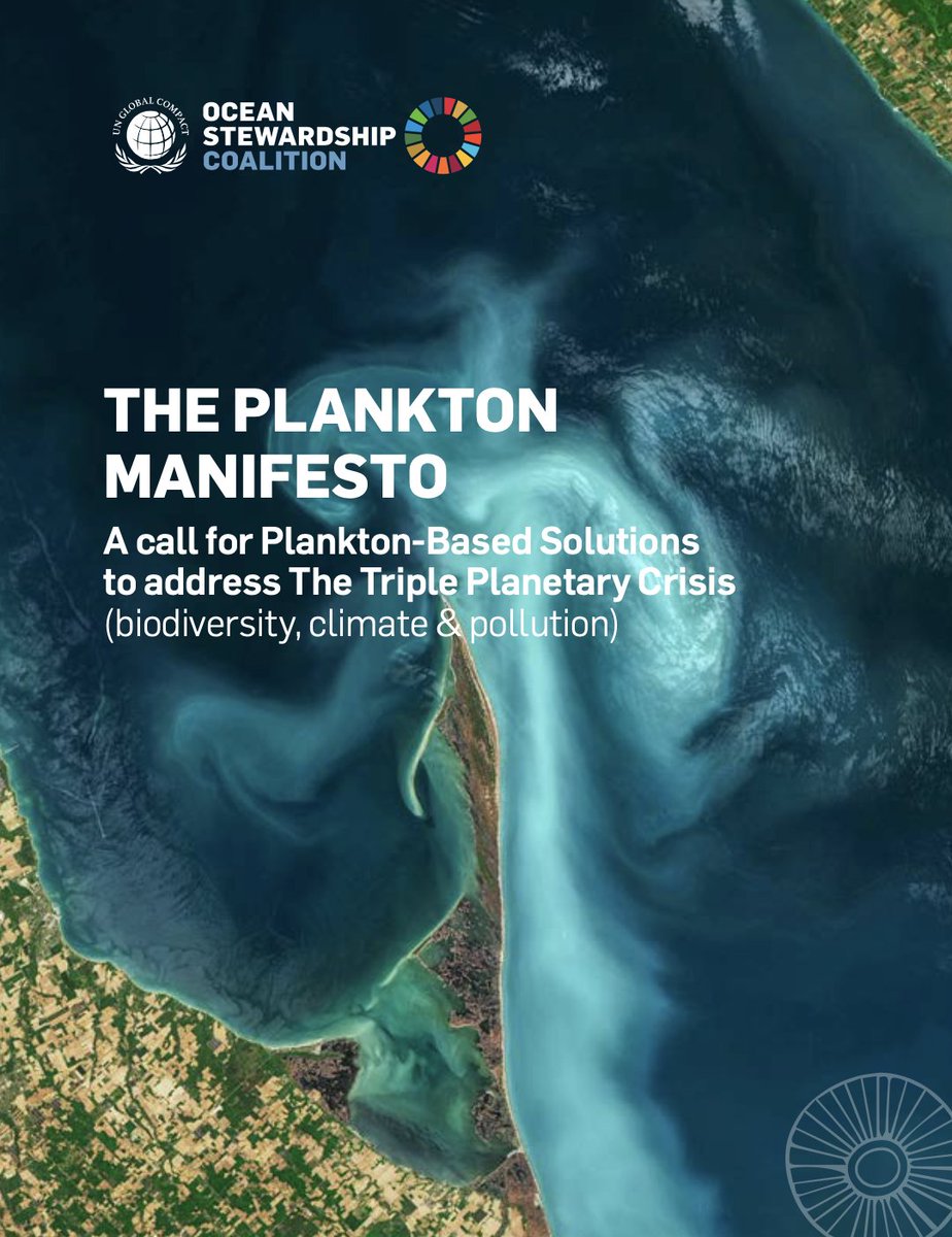 We're just 20 minutes away from the big moment! Don’t miss out on joining our webinar on the Plankton Manifesto!

👉 Join us here: us02web.zoom.us/j/84470453406