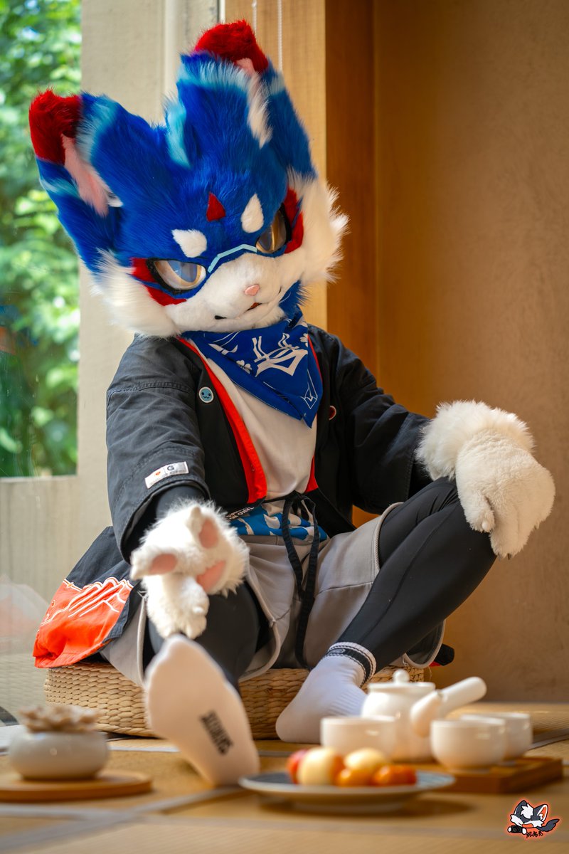 上来坐坐吧～
有水果有茶招待哦～

#FursuitEveryday #FursuitsEveryday #Fursuit #FURRY 
📷: @LKJ7tud10