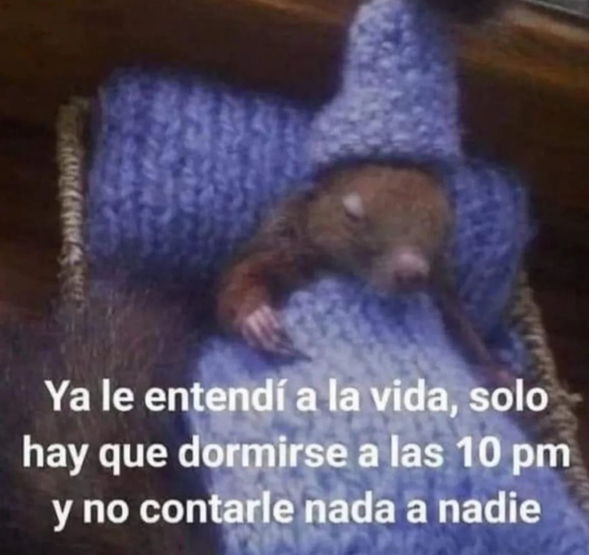 piña sin pizza (@skereunpesado) on Twitter photo 