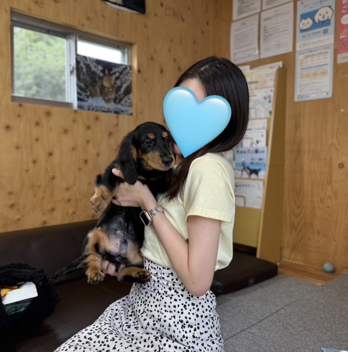 krm_htt's tweet photo. 本日お迎えしました👼
どこまでいっても短足胴長が好きみたいです☝️😩💗 https://t.co/LVccJZttn1