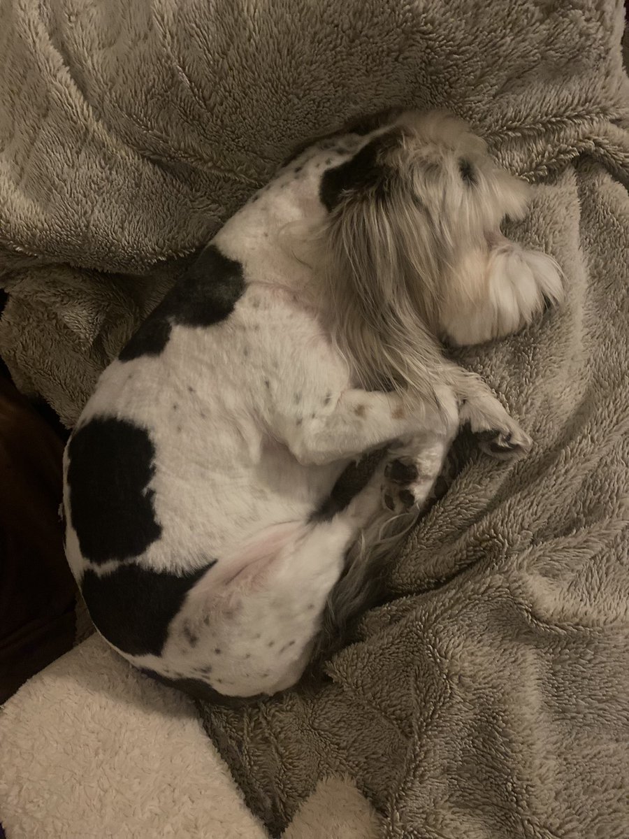 Ruff! Nighty night xxx 😴