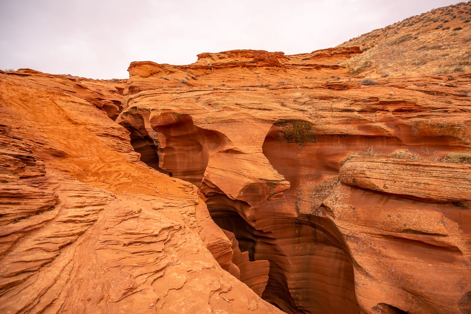 ribbonsxp's tweet photo. Book Lower Antelope Canyon Entry and Guided Tour in Page with RibbonsXP

Get started on https://t.co/SqEjiPrqpz

#ribbonsxp https://t.co/Z22W9u1FtH