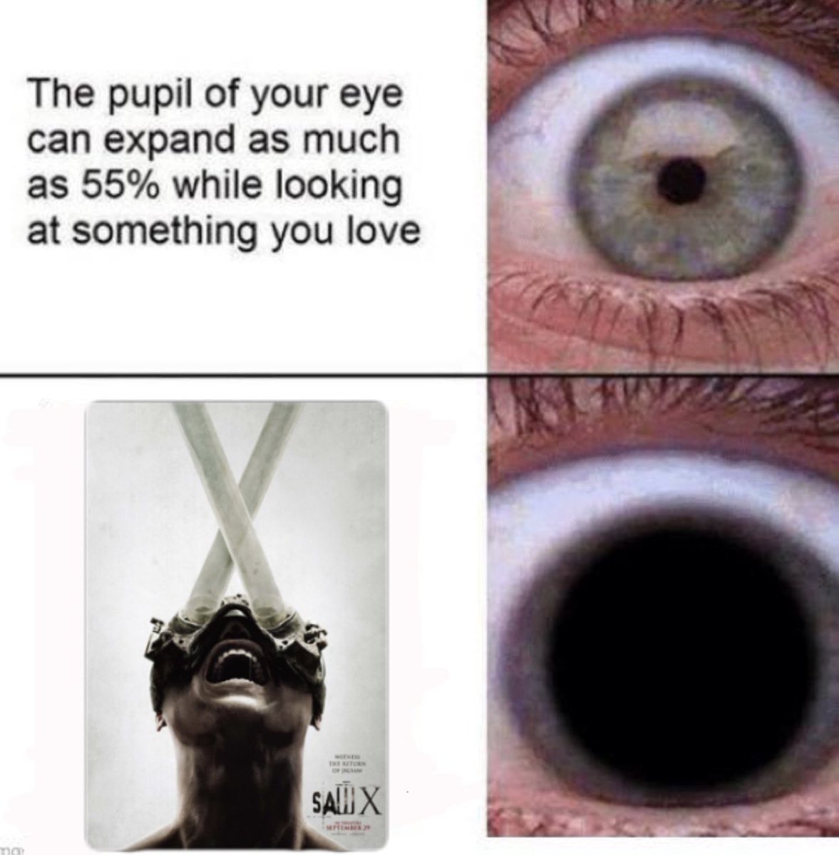 BaileyG1428's tweet image. 