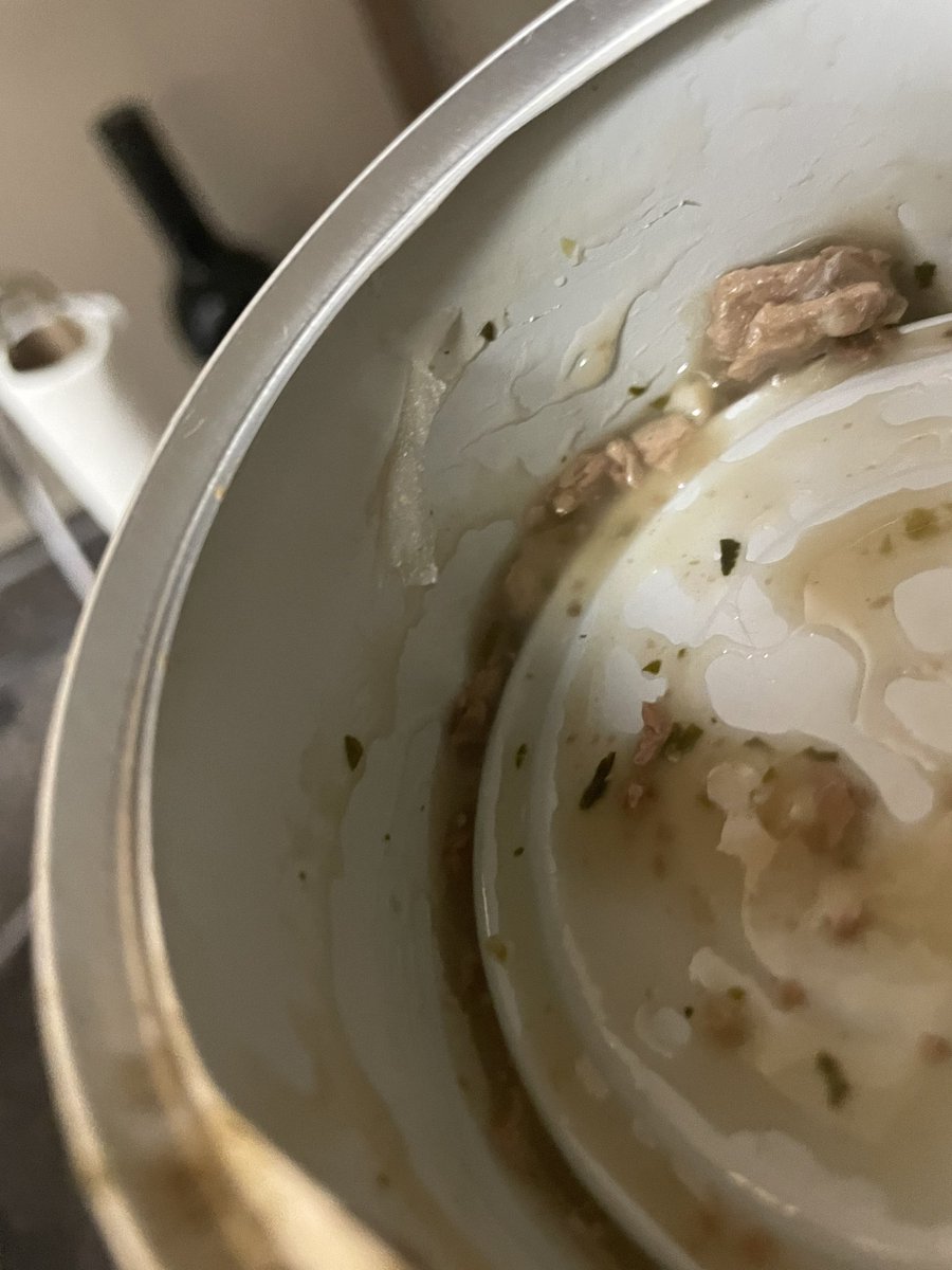 MissLoNicole77's tweet photo. @Purina I have big problems with your canned cat food. The inner plastic is PEELING. Into the food I am feeding my cat.😡 This has been the case with several cans I have opened for him. Not safe or healthy… really upset with this.. https://t.co/IvrYNbfiWj