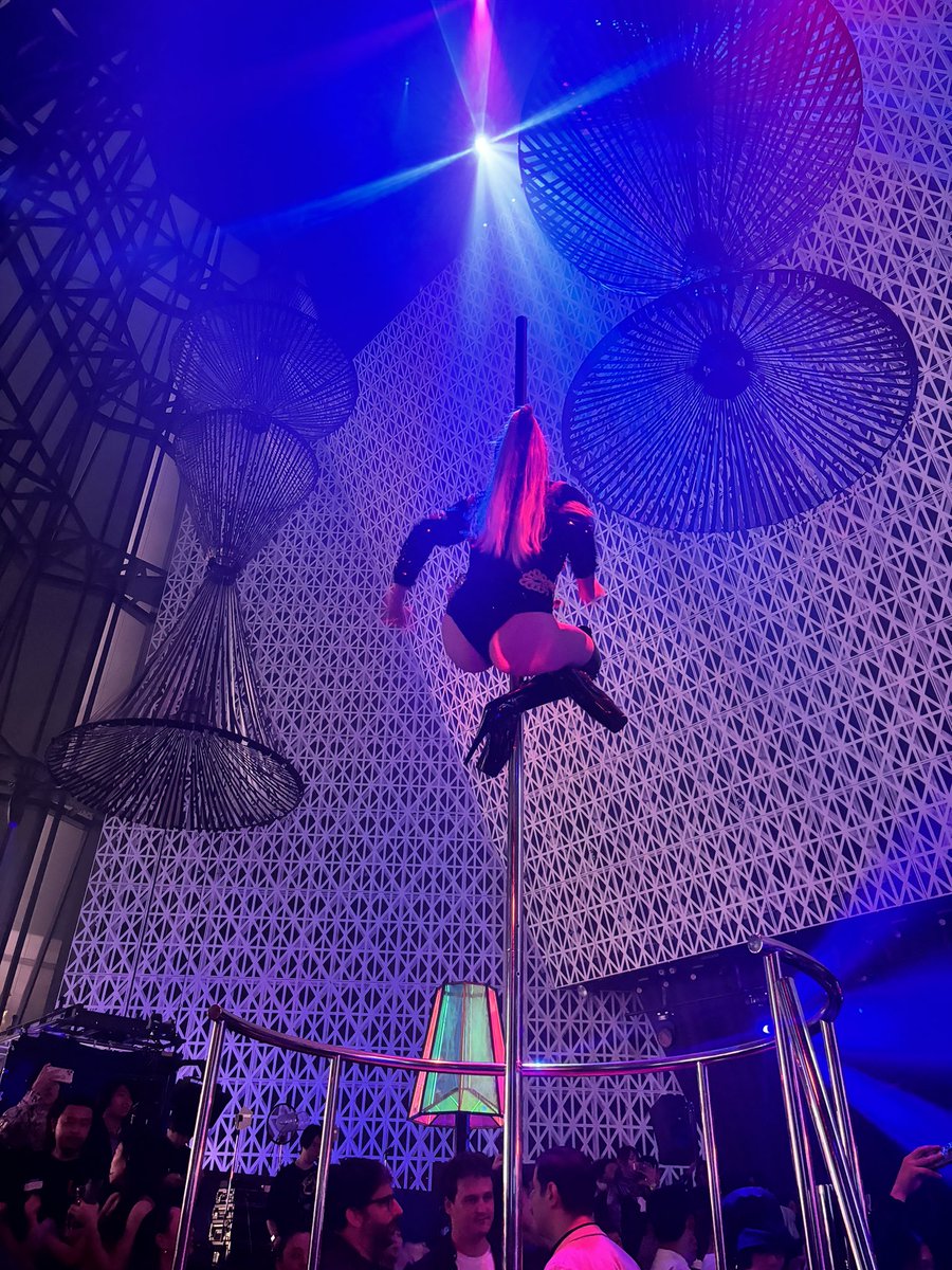 あかねこ。 tweet media