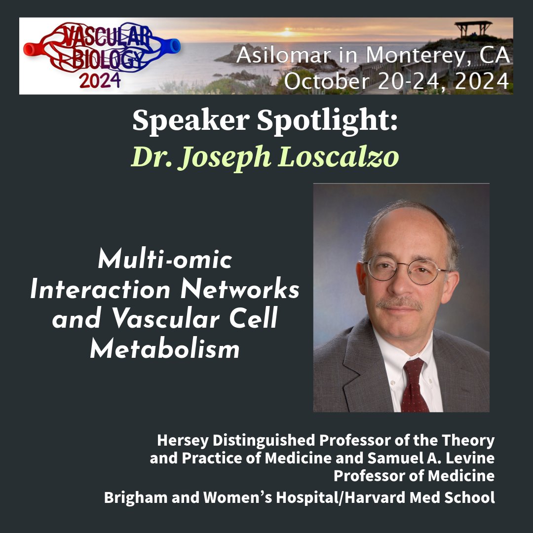 #NAVBO2024  <a href="/vascularbiology/">NAVBO</a>
navbo.org/vb2024/