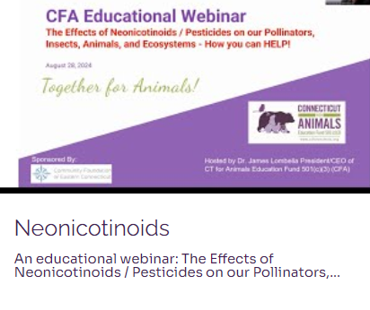 Pollinator_NN's tweet photo. Check out this great webinar from CT for Animals: 
Neonicotinoids- An educational webinar:  The Effects of Neonicotinoids / Pesticides on our Pollinators, Insects, Animals, and Ecosystems - How you can HELP!

https://t.co/E1XJ757MWs https://t.co/z1INUNCRKL