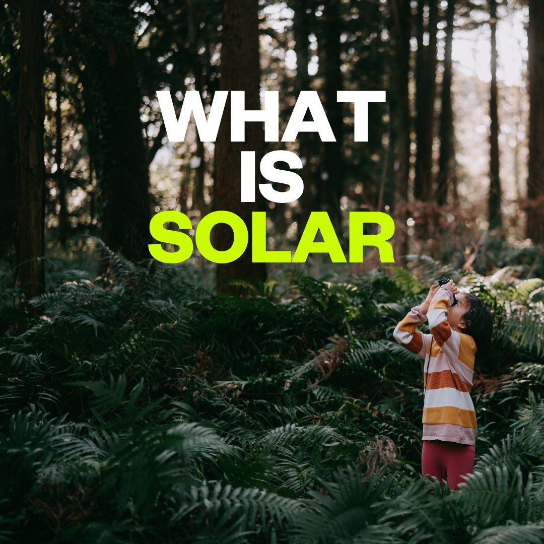 What is solar energy, and how does it work? 🌞 

Find out in our blog, where we explain how sunlight powers your home with clean, renewable energy: l8r.it/vUW9

#SoEnergy #SolarEnergy #WhatIsSolarEnergy