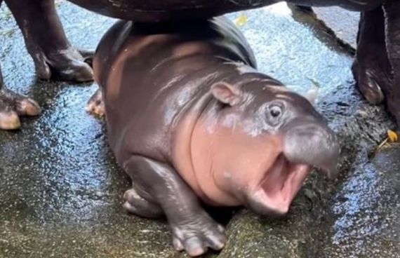 When your project deadline is around the corner 👀