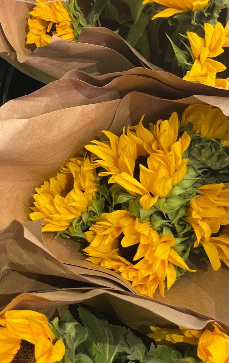 sunflowerchives's tweet image. make life colorful with sunflowers🌻