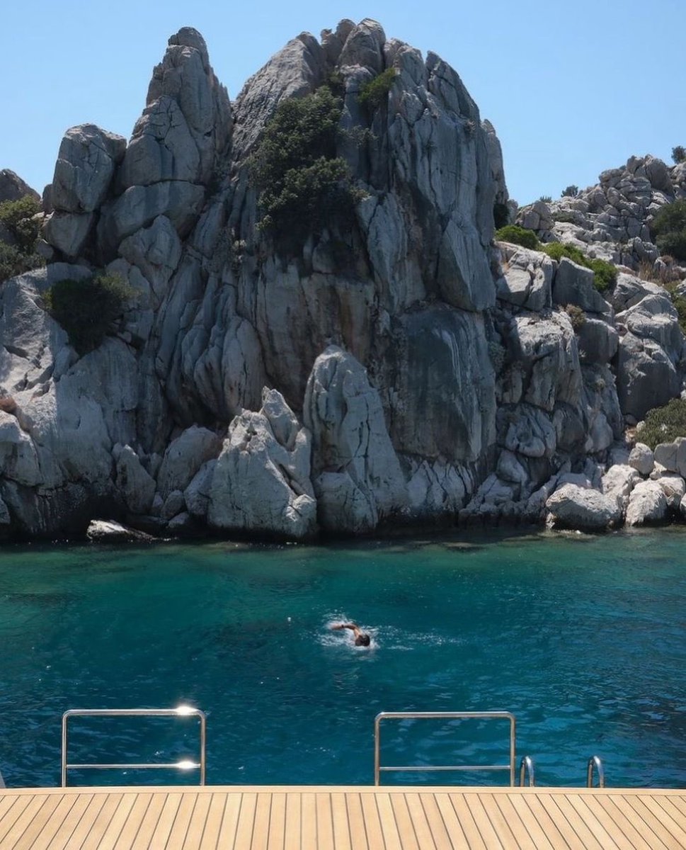 Freedom Luxe tweet media