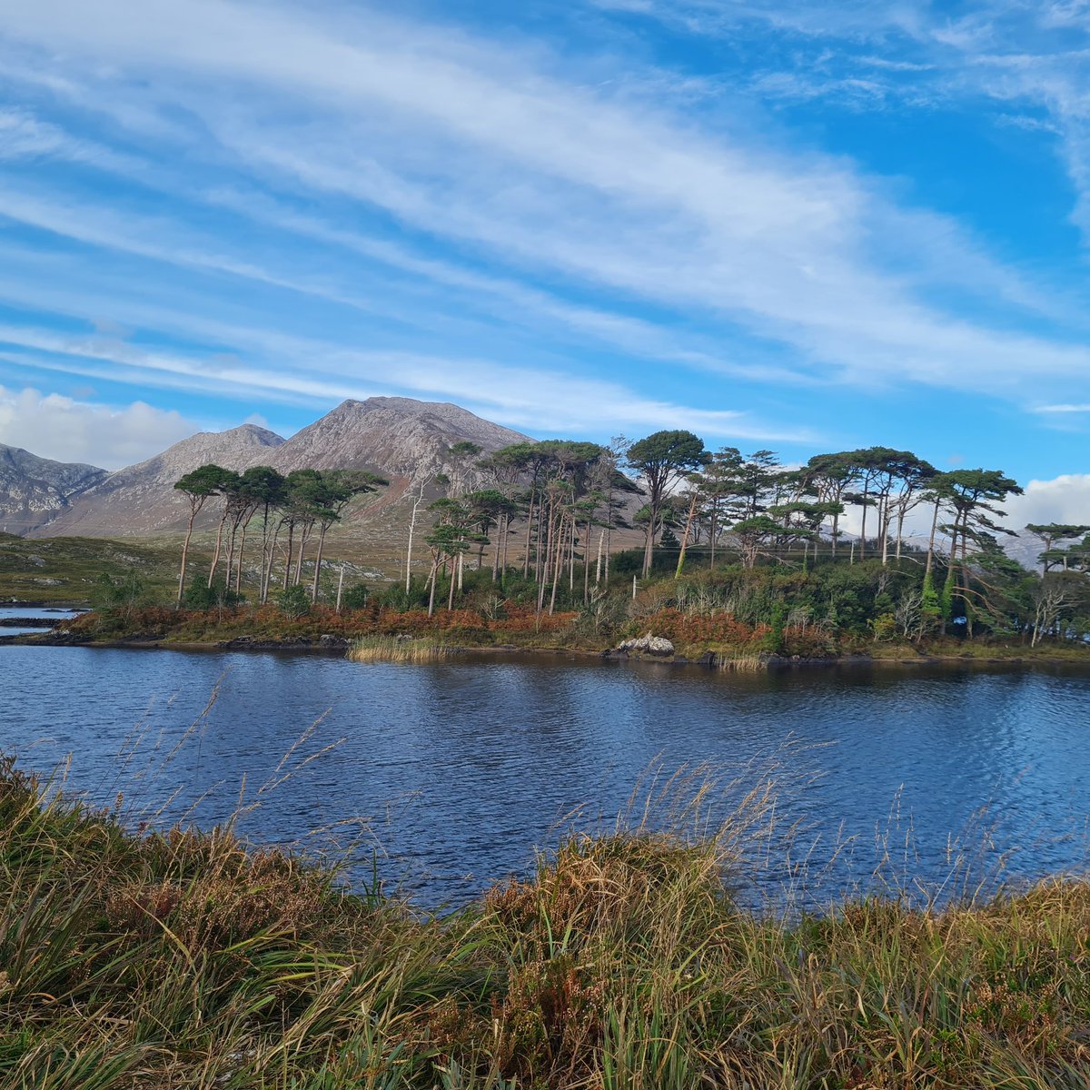 Lovely day spent in beautiful, special #connemara on the <a href="/wildatlanticIRL/">Wild Atlantic Way</a> <a href="/All_Connemara/">All Things Connemara</a> 🇮🇪