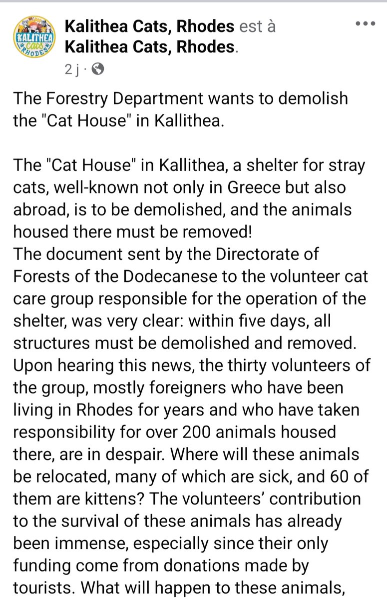 starwarsguurl's tweet photo. Le refuge pour chats de Kalithea (plus de 200) est menacé de fermeture par le maire de la ville. Signez la pétition pour aider ces chats et les bénévoles svp 
https://t.co/Fuhl0Da0ej

#rhodes #greece #catsofgreece #helpthegreekcats #kalithea https://t.co/CUlKDqLstY