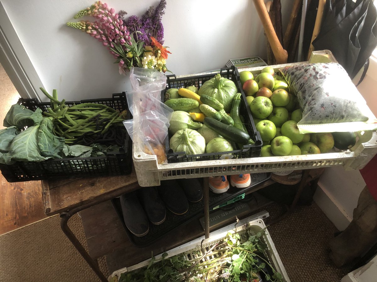 Wanting to grow your own produce?
Email
 cranbornegrove@gmail.com 
 to apply for a Cranborne allotment.

Not sufficient time to commit to an allotment? Then why not help with our community orchard. Helping to produce fruit for the village. If interested email the above address.