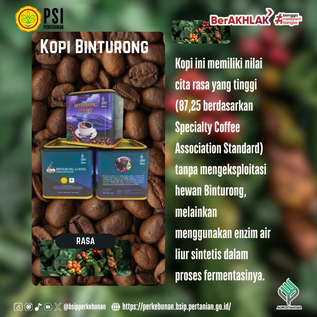 brmpperkebunan's tweet image. #FrenSIP, udah tau Kopi Binturong? Itu lohhh kopi dengan cita rasa yang khas, prosesnya yang unik, dan juga memiliki potensi ekonomi tinggi.

Oiya, kopi ini juga merupakan produk inovasi yang cita rasanya mengungguli kopi luwak lohhh.

Yuk kita simak infografis diatas!!!