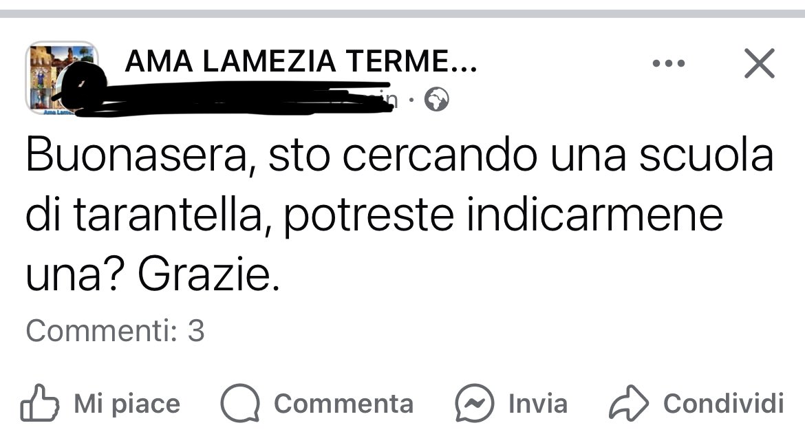 silviascarpa tweet media