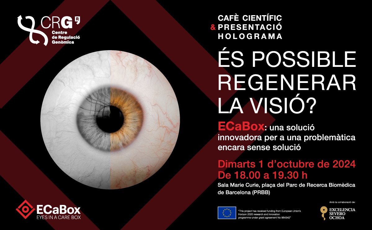 Centre for Genomic Regulation (CRG) (@crgenomica) on Twitter photo 👁️ És possible regenerar la visió? És possible el trasplantament d'ull? Encara que sembli ciència ficció, no ho és i el projecte <a href="/ecabox/">ECaBox - Eyes in a Care Box</a> ho vol aconseguir.
☕️T'esperem per parlar-ho en el proper Cafè Científic del #CRG, on també presentarem en primícia l'holograma de l'ECaBox! 👁️ És possible regenerar la visió? És possible el trasplantament d'ull? Encara que sembli ciència ficció, no ho és i el projecte <a href="/ecabox/">ECaBox - Eyes in a Care Box</a> ho vol aconseguir.
☕️T'esperem per parlar-ho en el proper Cafè Científic del #CRG, on també presentarem en primícia l'holograma de l'ECaBox!