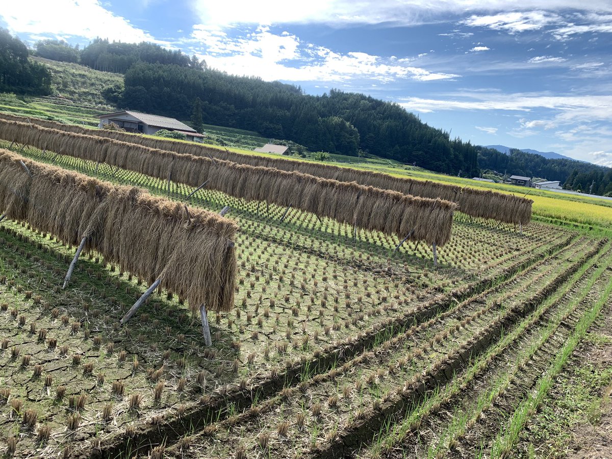 TakayamaExpat's tweet photo. It’s that time of year again…
.
#japan
#lifeinjapan
#inakalife https://t.co/iHgu3lj1yp