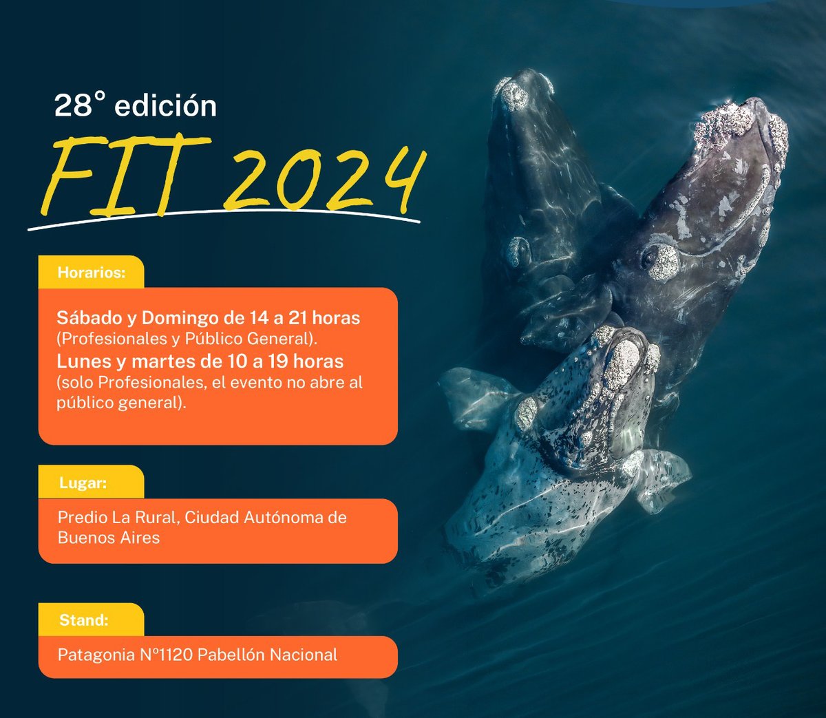 #Chubut se prepara para exponer sus atractivos en la Feria Internacional de Turismo 2024 
<a href="/gobiernochubut/">Gobierno del Chubut</a> <a href="/diegolapennach/">Diego Lapenna</a> <a href="/CatChubut/">CATch Chubut</a> <a href="/EntePatagonia/">Ente Patagonia</a> <a href="/madryntravel/">Puerto Madryn</a> <a href="/cecipavia/">Ceci Pavia</a> 
digitalchubut.com/chubut-se-prep…