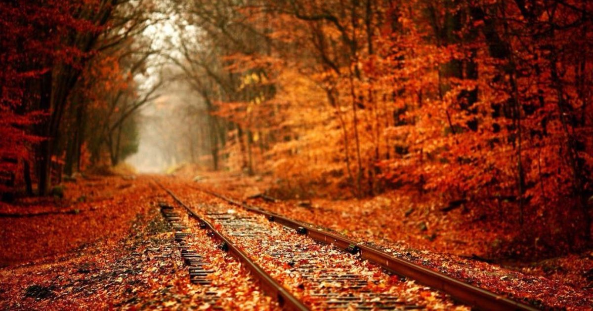Amtrak Downeaster (@riderail) on Twitter photo Fall festivals are around the corner! Get your Pumpkin Spice fix and plan some family fun. Read more on our website today: amtrakdowneaster.com/experiences/alโฆ #fallfestival #NewEnglandTravel <a href="/TravelLeisure/">Travel + Leisure</a> Fall festivals are around the corner! Get your Pumpkin Spice fix and plan some family fun. Read more on our website today: amtrakdowneaster.com/experiences/alโฆ #fallfestival #NewEnglandTravel <a href="/TravelLeisure/">Travel + Leisure</a>