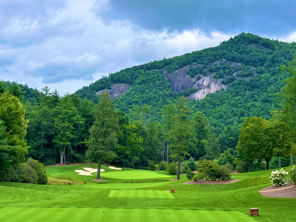 Rick Golfs tweet media