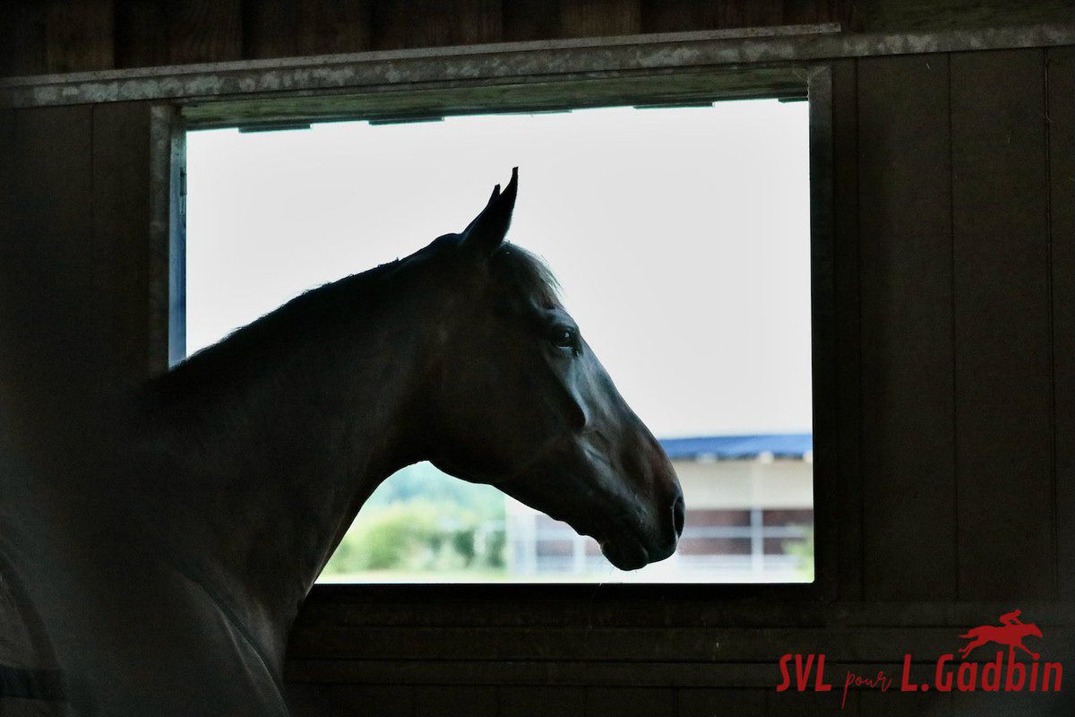 <a href="/LGadbin/">Ludovic Gadbin</a> 
#raceandcare
📷<a href="/svl_design/">Sabine Lösch</a>