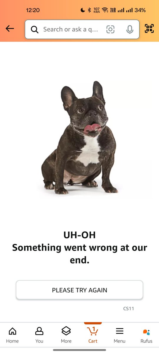 visiyait_raj's tweet image. @amazonIN when you can't handle. Then why put up such sale? Pathetic experience. Prime membership now feels like a cheating... #AmazonCrash #greatindianfestival #amazonIn