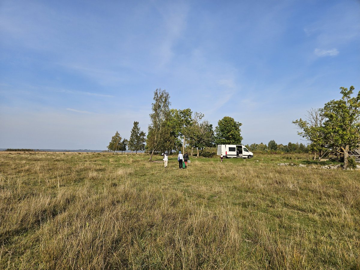 Kadri Koorem tweet media