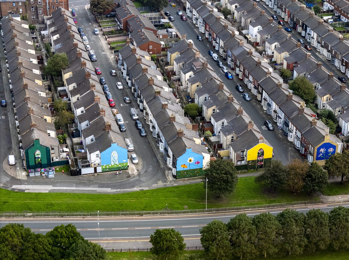 Dave Johnston tweet media