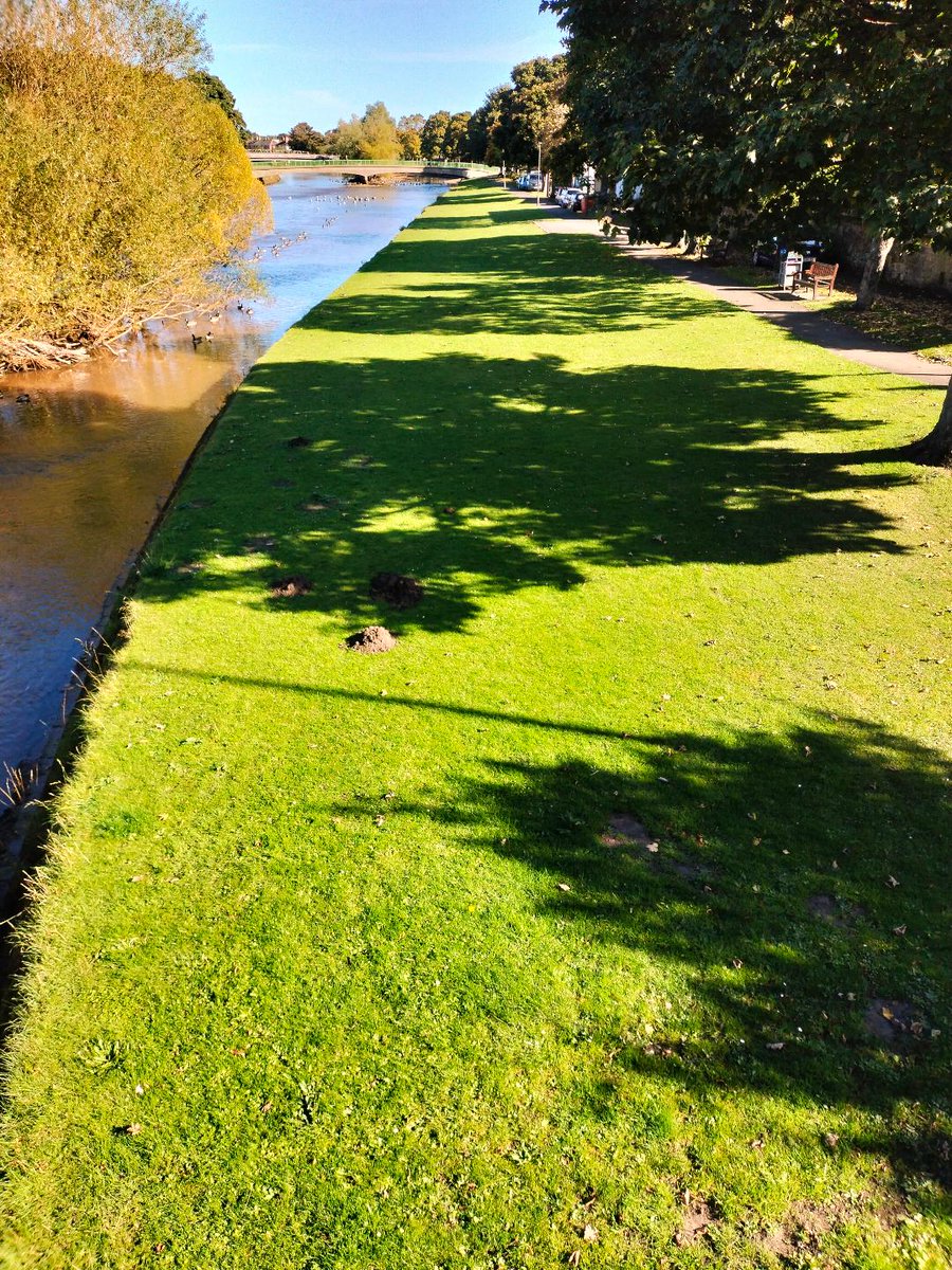 RayFrench15's tweet image. Beautiful day by the River Esk in #Musselburgh #eastlothian today
