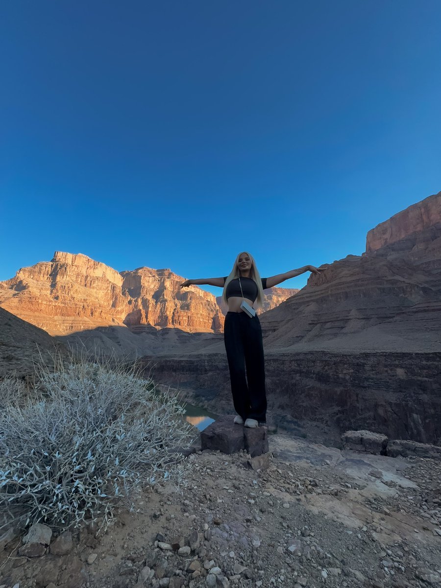 Kristine Kolodziejski || MVP || #PrinCSS tweet media