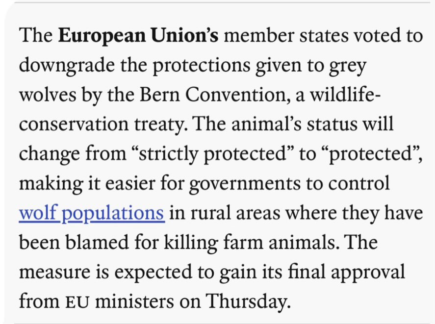 Why do people hate wolves so much? Few people have spent as much of their lives living with and studying the species as I have, and I don't get it.
