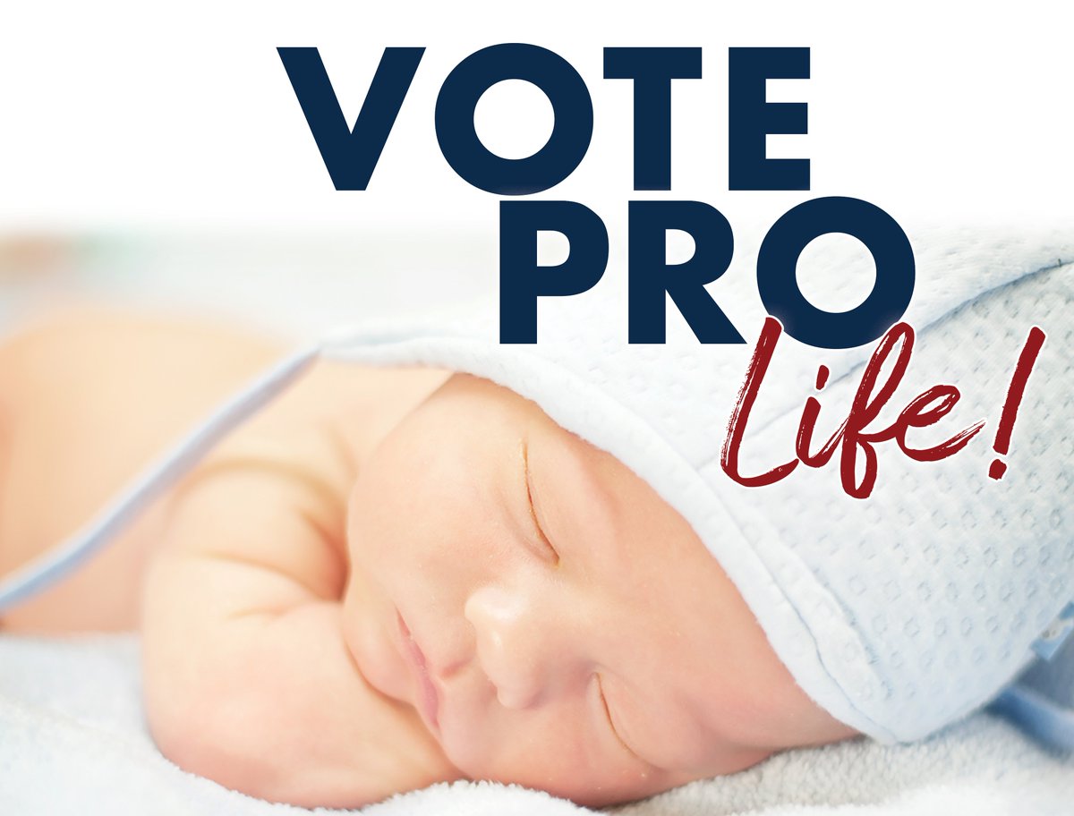grrtl's tweet image. New, larger yard signs will be available for sale at the #GrandRapids Right to Life office ... soon! Who could resist this precious baby? Sign is full color, double-sided, corrugated plastic. Includes stake. Only $15 each. Cash only.
.
#VoteProLife #VoteProLifeFirst #EndAbortion