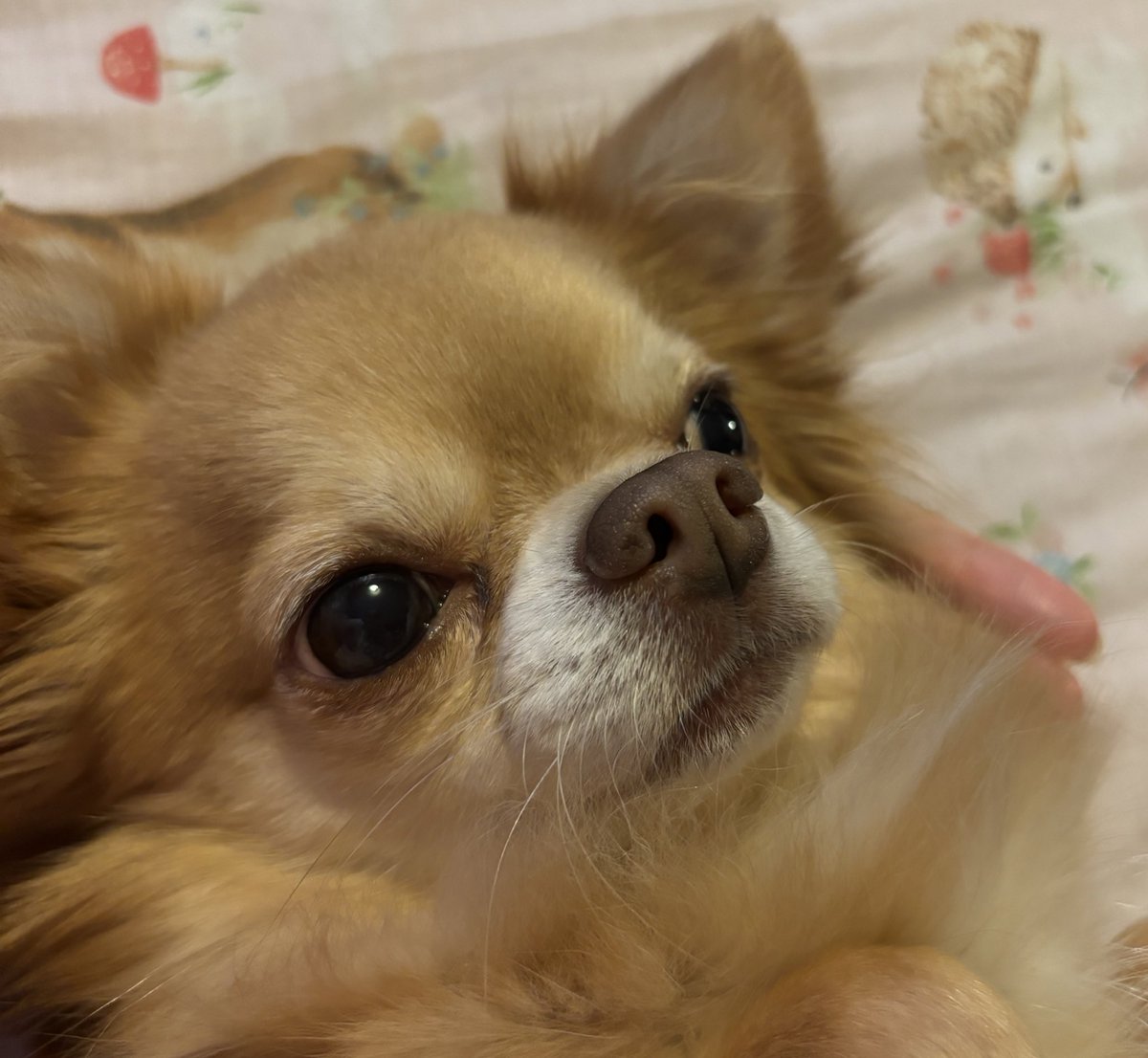 himb has stolen my arm… this means i must hold him forever right? 👁️👄👁️