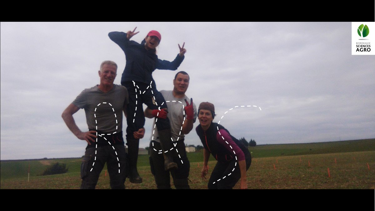 🗣️ reprise du #RMQS pr la team #sols de <a href="/BdxSciencesAgro/">BordeauxSciencesAgro</a> à Bon-Encontre 47. Belle jrnee sans 🌧️, parfois av ☀️. Quelle chance ! Notre taf : Fosse redécrite. ts les horizons prélevés. 9 densités. 4 composites. Quel combo pr cette rentrée <a href="/InfoEtSols/">Info&Sols INRAE Orléans</a> !