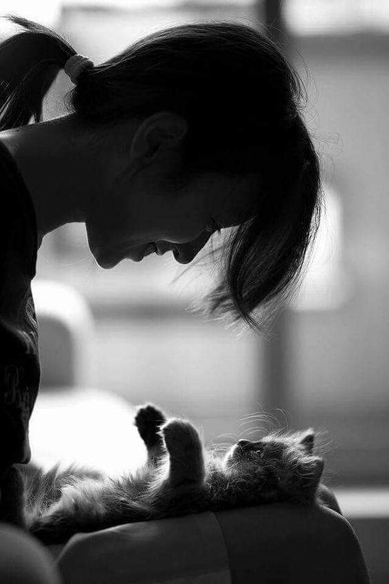 Patrignzm tweet media