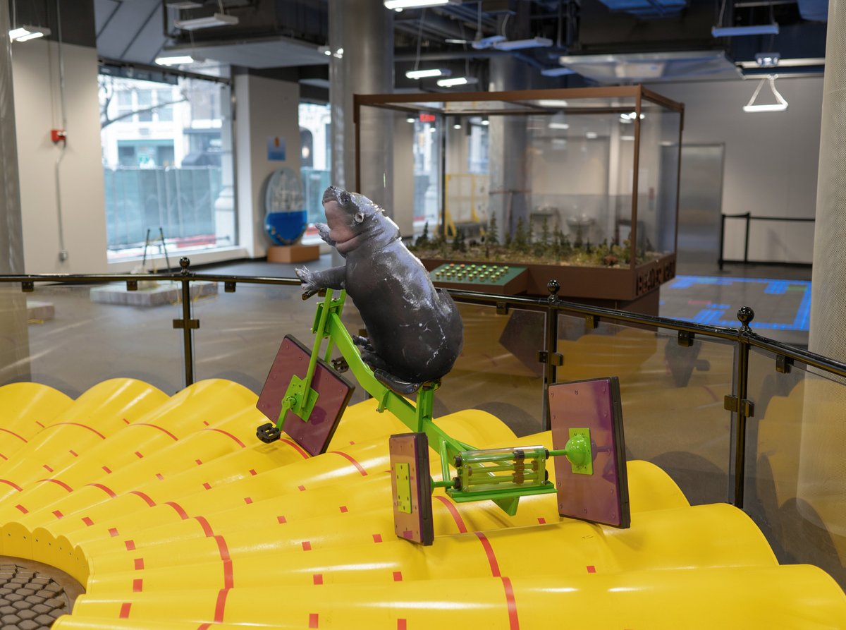 MoMath1's tweet photo. Moo Deng if she rode MoMath's Square Wheeled Trike. https://t.co/labZnctQ3o