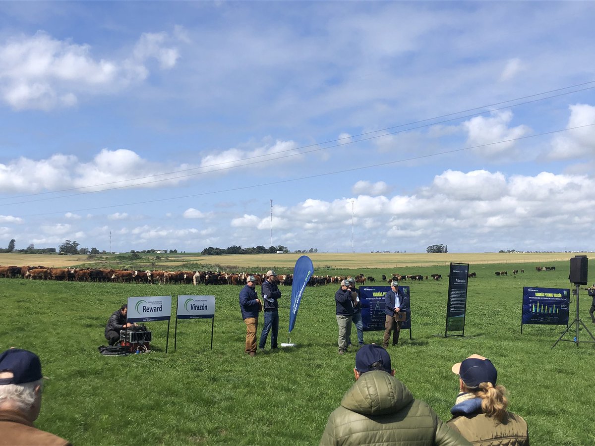 Pasturas 2024 visitando la empresa Britos Hermanos!! 

Excelente jornada mostrando la realidad de una empresa familiar innovadora que apuesta a crecer sumando Agronomía y Tecnología !! 

<a href="/jsilvapesce/">Juan Pablo Silva</a> 
 <a href="/PGGWrightson_UY/">PGG Wrightson Seeds Uruguay</a>