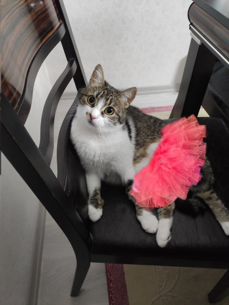 ezgi (@blairskarma) on Twitter photo 