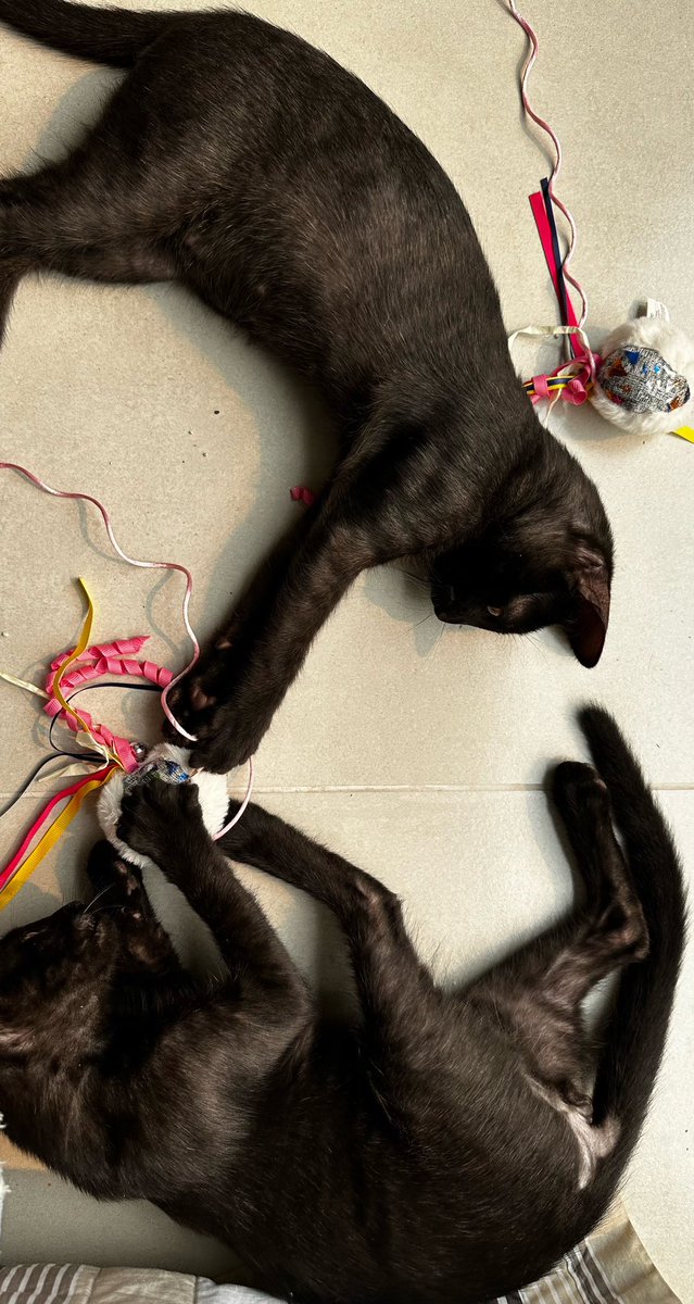 Agripain tweet media