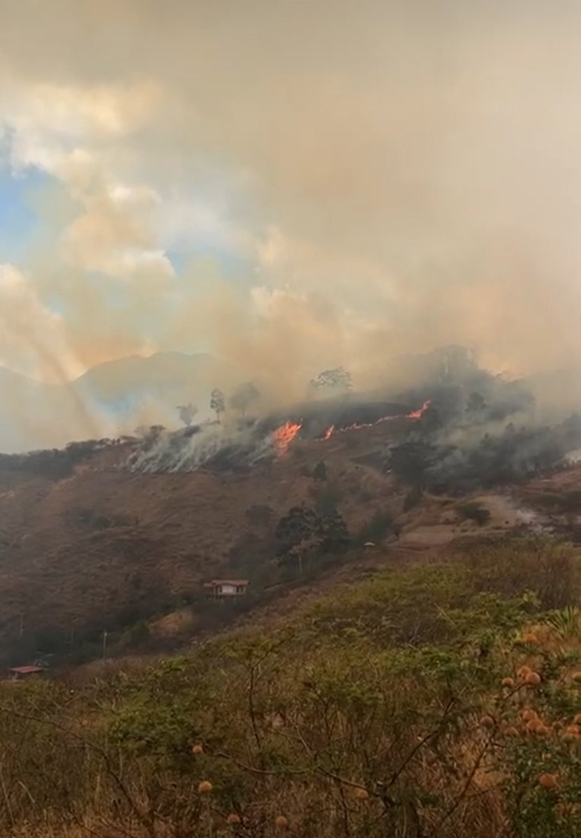 🆘🚨 EMERGENCIA #SOSVilcabamba Mollepamba se está incendiando y consumiendo gran parte de Vilcabamba. ¡Por favor su ayuda y acción inmediata! <a href="/GoberLoja/">Gobernación de Loja</a> <a href="/Riesgos_Ec/">Riesgos Ecuador</a> <a href="/Presidencia_Ec/">Presidencia Ecuador 🇪🇨</a> <a href="/DanielNoboaOk/">Daniel Noboa Azin</a> 🆘🆘🆘🆘
