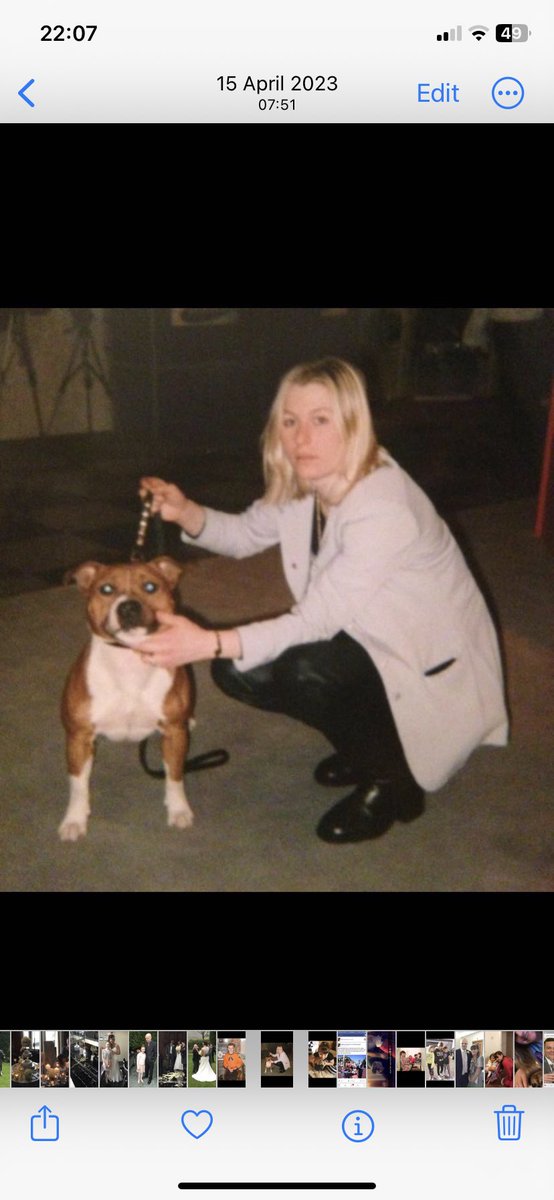 Alison Schofield tweet media