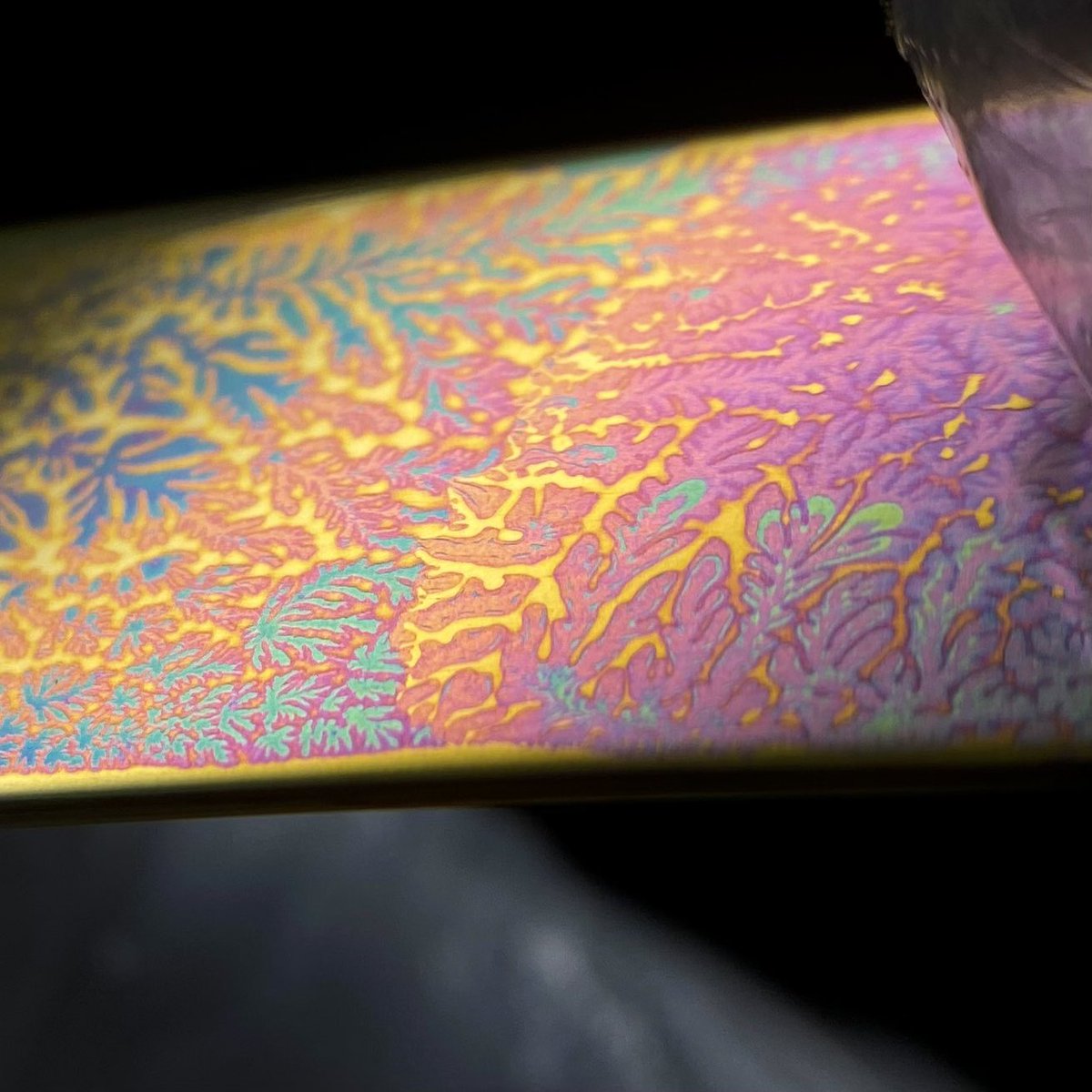 LDuRowm0kPi8C00's tweet image. 光の当て方と角度で色が変わり
色が無くなります
#構造色 #StructuralColor
#artwork #フラクタル

#みんなで楽しむTwitter展覧会
#ART祭 #芸術同盟 #ものづくり
♡いいねありがとうございます