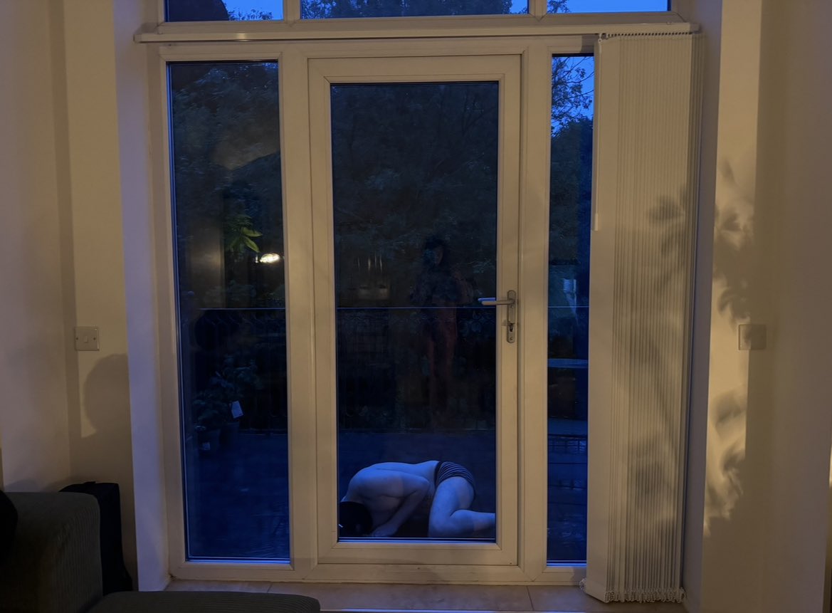 allforanna_'s tweet photo. Left him outside and then forgot about him🥰 https://t.co/i5L3Gyw3pg