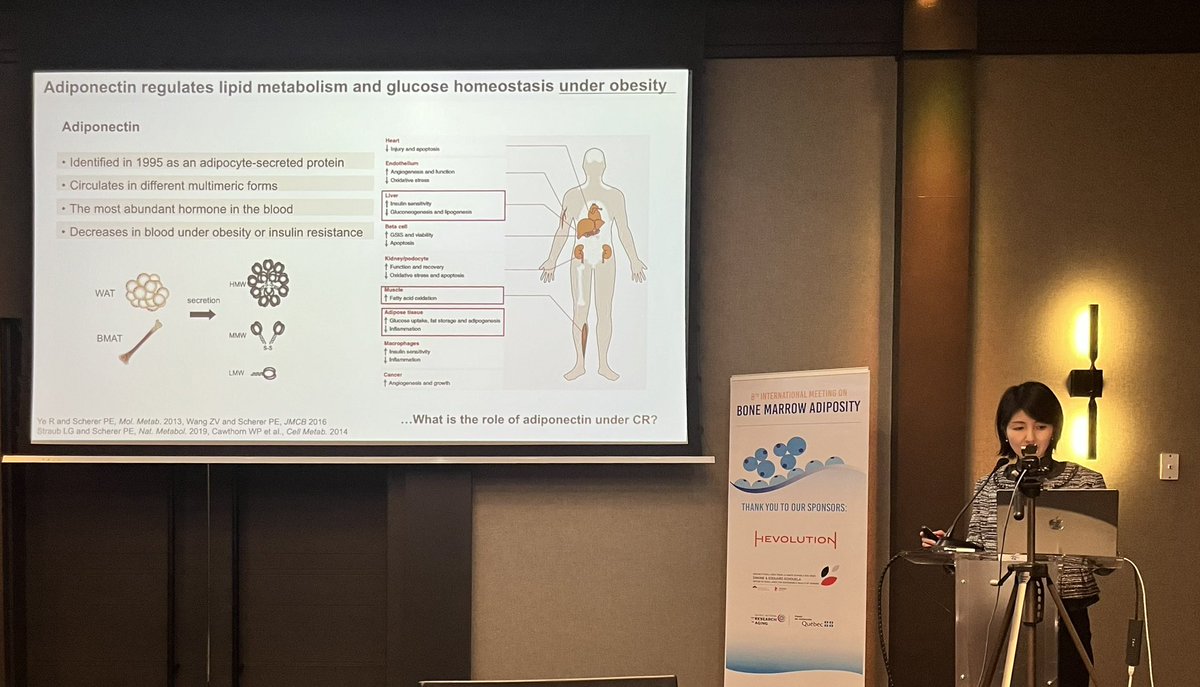 BMA_Society's tweet photo. Resuming #BMA2024, Yoshiko Ikisha starts our afternoon session with her work on #adiponectin effects on liver function and #glucosehomeostasis during #caloricrestriction. https://t.co/S20Jsmh3ee